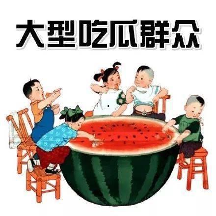 《校园吃瓜记》,揭秘校园里的那些“瓜” 第1张 《校园吃瓜记》,揭秘校园里的那些“瓜” 第1张